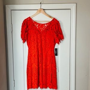 Vibrant Red Lace Dress by Lulu’s - NEVER WORN